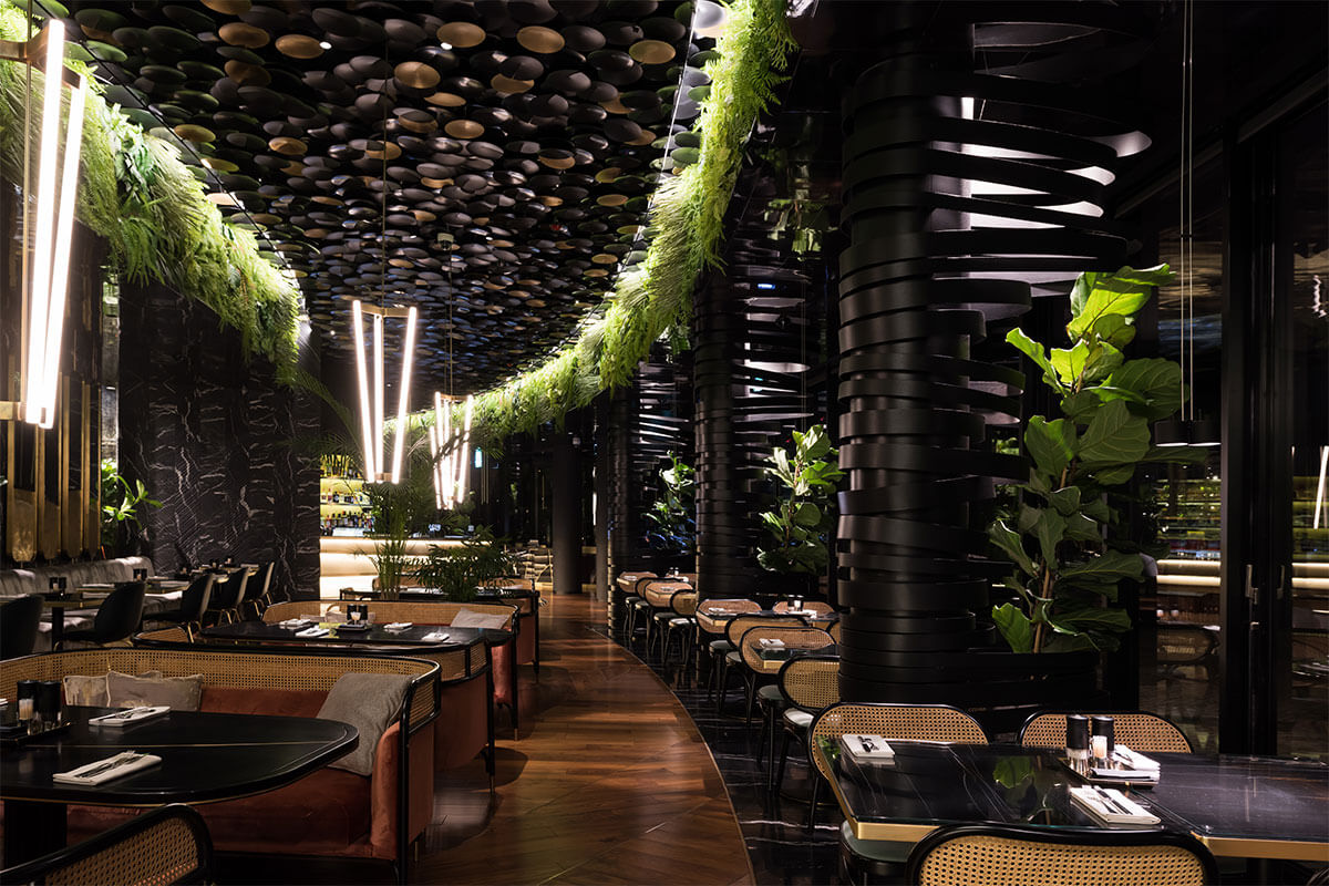 Cafe krasnodar